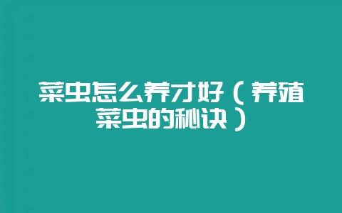 菜虫怎么养才好(养殖菜虫的秘诀)-会东网