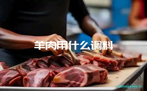 羊肉用什么调料-会东网