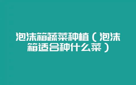 泡沫箱蔬菜种植（泡沫箱适合种什么菜）-会东网