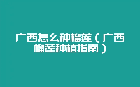 广西怎么种榴莲（广西榴莲种植指南）-会东网