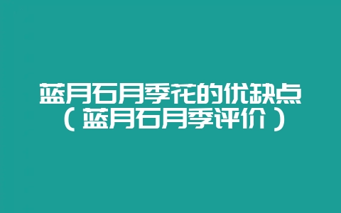 蓝月石月季花的优缺点（蓝月石月季评价）-会东网