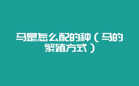 马是怎么配的种(马的繁殖方式)-会东网