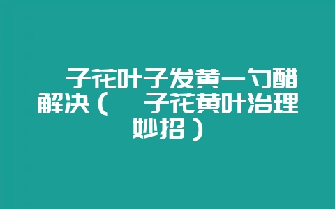 栀子花叶子发黄一勺醋解决（栀子花黄叶治理妙招）-会东网
