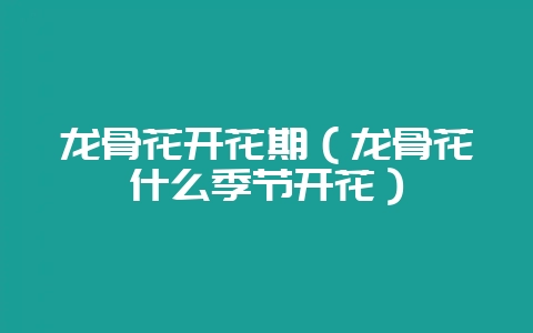 龙骨花开花期(龙骨花什么季节开花)-会东网