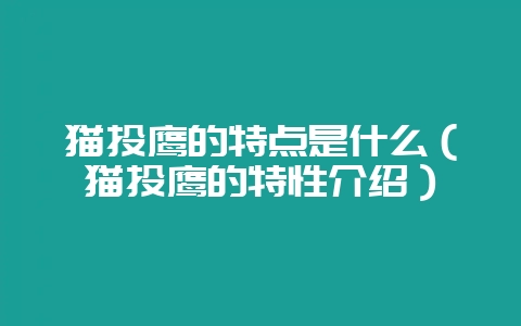 猫头鹰的特点是什么（猫头鹰的特性介绍）-会东网