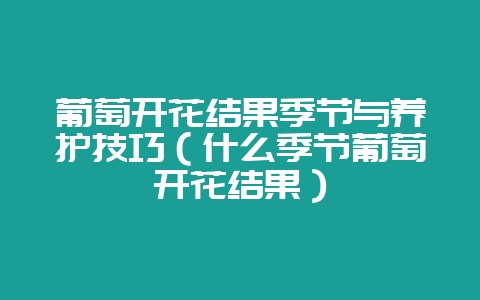 葡萄开花结果季节与养护技巧（什么季节葡萄开花结果）-会东网