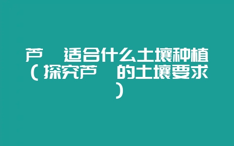 芦荟适合什么土壤种植（探究芦荟的土壤要求）-会东网