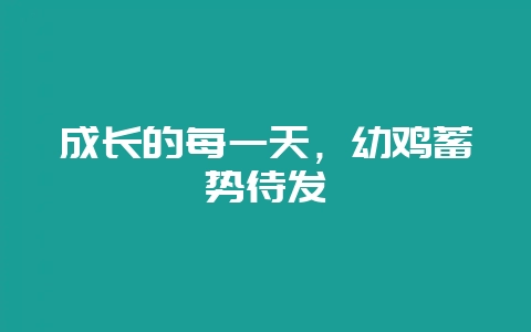 成长的每一天，幼鸡蓄势待发-会东网