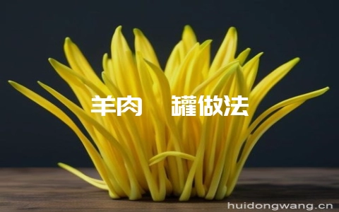 羊肉炖罐做法-会东网