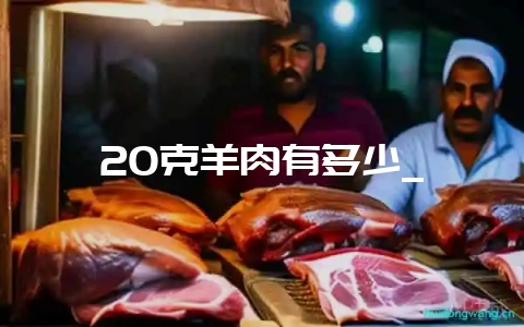 20克羊肉有多少_-会东网