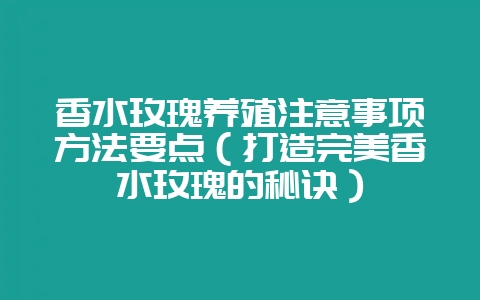 香水玫瑰养殖注意事项方法要点（打造完美香水玫瑰的秘诀）-会东网