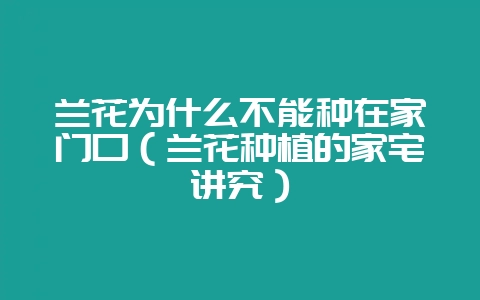 兰花为什么不能种在家门口（兰花种植的家宅讲究）-会东网