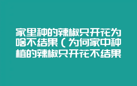 家里种的辣椒只开花为啥不结果（为何家中种植的辣椒只开花不结果-会东网