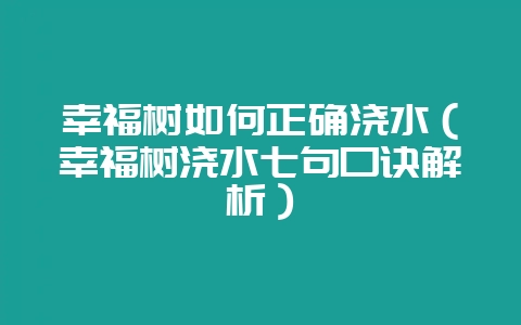 幸福树如何正确浇水（幸福树浇水七句口诀解析）-会东网