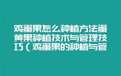 鸡蛋果怎么种植方法蛋黄果种植技术与管理技巧(鸡蛋果的种植与管-会东网