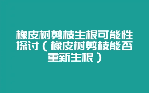 橡皮树剪枝生根可能性探讨（橡皮树剪枝能否重新生根）-会东网