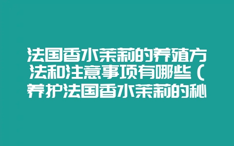 法国香水茉莉的养殖方法和注意事项有哪些（养护法国香水茉莉的秘-会东网
