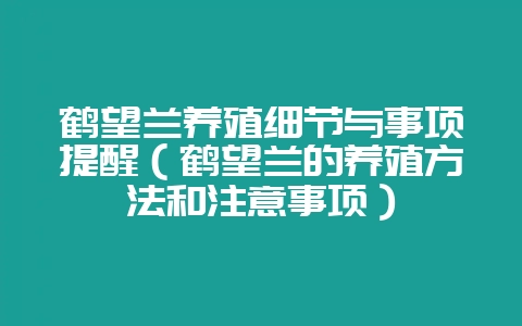 鹤望兰养殖细节与事项提醒（鹤望兰的养殖方法和注意事项）-会东网