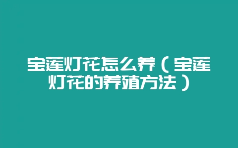 宝莲灯花怎么养（宝莲灯花的养殖方法）-会东网