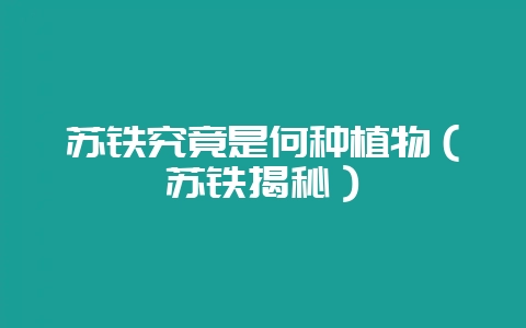 苏铁究竟是何种植物(苏铁揭秘)-会东网
