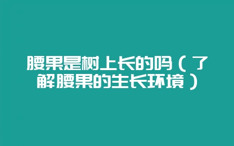 腰果是树上长的吗(了解腰果的生长环境)-会东网