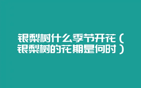 银梨树什么季节开花(银梨树的花期是何时)-会东网