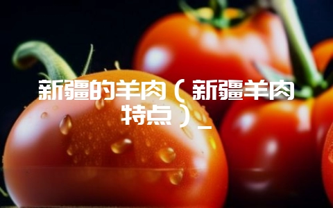 新疆的羊肉（新疆羊肉特点）_-会东网