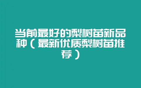 当前最好的梨树苗新品种(最新优质梨树苗推荐)-会东网