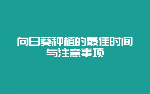 向日葵种植的最佳时间与注意事项-会东网
