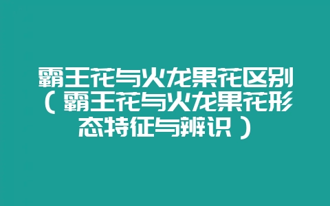 霸王花与火龙果花区别（霸王花与火龙果花形态特征与辨识）-会东网