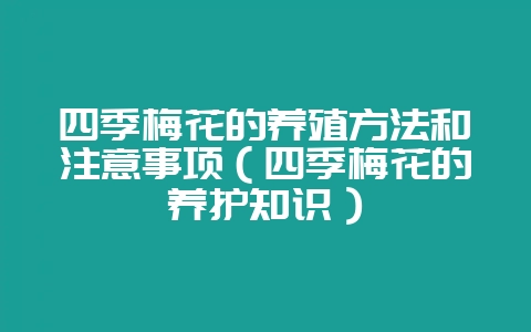 四季梅花的养殖方法和注意事项（四季梅花的养护知识）-会东网