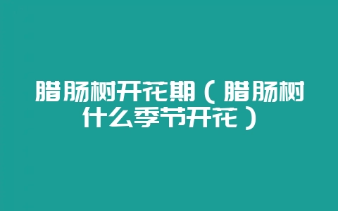 腊肠树开花期（腊肠树什么季节开花）-会东网