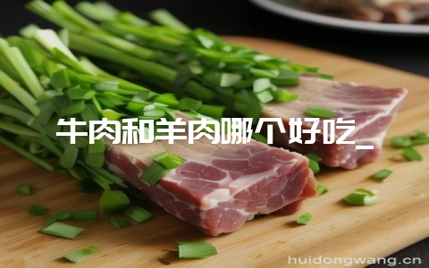 牛肉和羊肉哪个好吃_-会东网