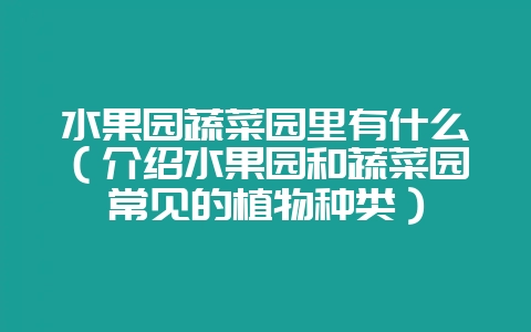 水果园蔬菜园里有什么（介绍水果园和蔬菜园常见的植物种类）-会东网