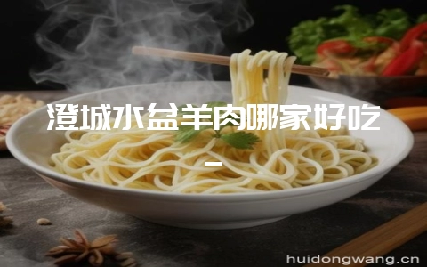 澄城水盆羊肉哪家好吃_-会东网