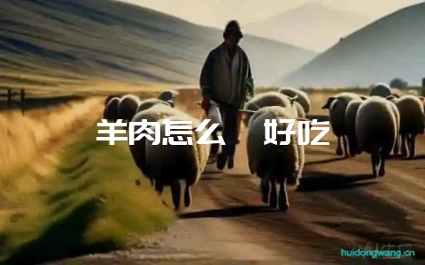 羊肉怎么炖好吃-会东网