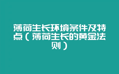 薄荷生长环境条件及特点（薄荷生长的黄金法则）-会东网
