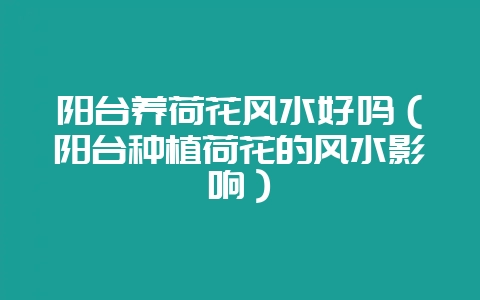 阳台养荷花风水好吗(阳台种植荷花的风水影响)-会东网