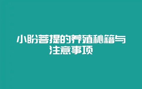 小盼菩提的养殖秘籍与注意事项-会东网
