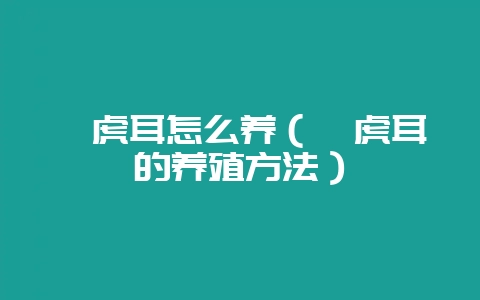 姬虎耳怎么养(姬虎耳的养殖方法)-会东网