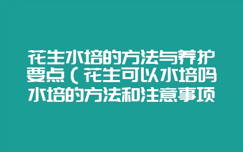 花生水培的方法与养护要点（花生可以水培吗水培的方法和注意事项-会东网