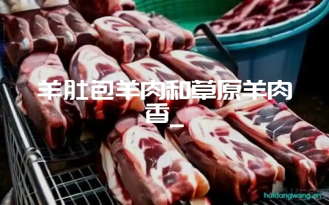 羊肚包羊肉和草原羊肉香_插图 羊肚包羊肉和草原羊肉香_插图