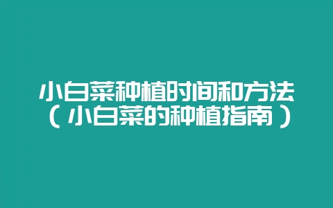 小白菜种植时间和方法（小白菜的种植指南）-会东网
