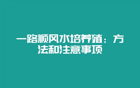 一路顺风水培养殖：方法和注意事项-会东网