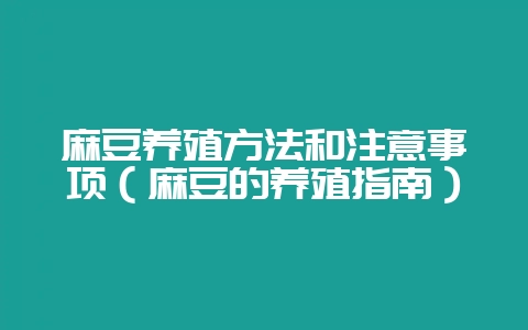 麻豆养殖方法和注意事项(麻豆的养殖指南)-会东网
