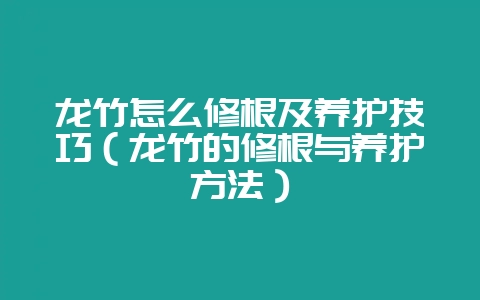 龙竹怎么修根及养护技巧(龙竹的修根与养护方法)-会东网