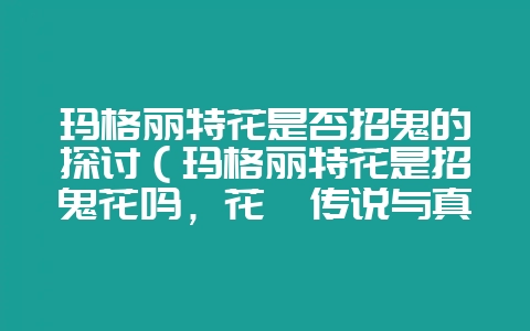玛格丽特花是否招鬼的探讨（玛格丽特花是招鬼花吗，花卉传说与真-会东网
