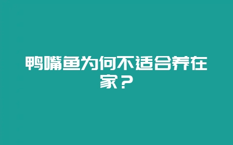 鸭嘴鱼为何不适合养在家?-会东网