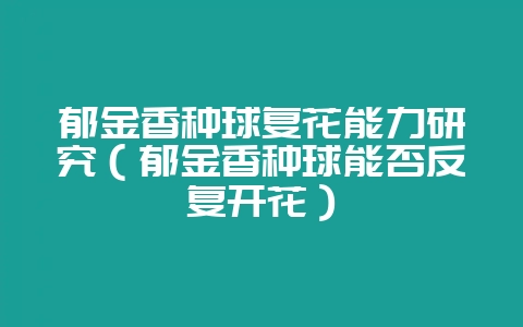 郁金香种球复花能力研究（郁金香种球能否反复开花）-会东网