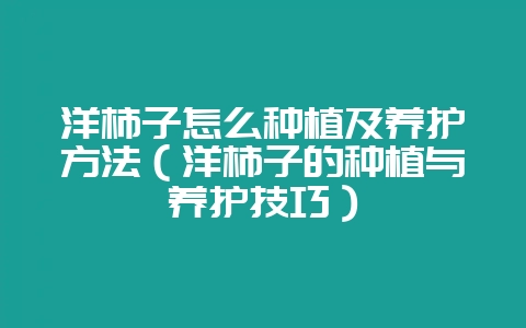 洋柿子怎么种植及养护方法（洋柿子的种植与养护技巧）-会东网